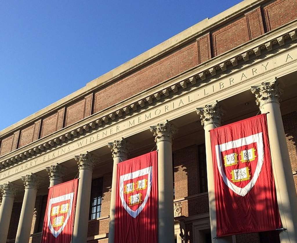 widener library