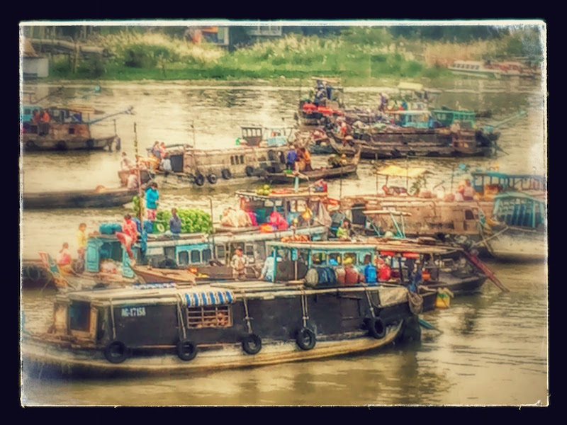 stylized mekong delta