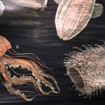jellyfish art